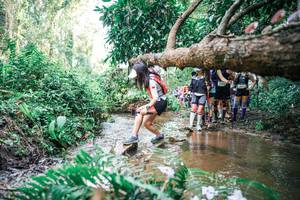 BIB: 
                            <button type="button" onclick="openModal(25514785)" class="btn btn-primary btn-sm float-right btn-popup" data-toggle="modal" data-target=".modal-high-quality">
                        <i class="fas fa-shopping-cart"></i> Add to Cart
                    </button>
                                            <button type="button" onclick="isThisMe(25514785, true)" class="btn btn-success btn-sm float-right btn-popup btn-isme hidden" data-toggle="tooltip" data-placement="bottom" title="นี่คือรูปของคุณใช่ไหม คลิกที่นี่เพื่อเอาเข้าอัลบั้ม">
                        <i class="fas fa-plus"></i> Add to album
                    </button>
                    <button type="button" onclick="isThisMe(25514785, false)" class="btn btn-warning btn-sm float-right btn-popup btn-isnotme hidden">
                        <i class="fas fa-ban"></i> Remove from album
                    </button>